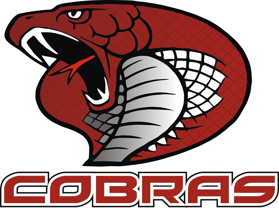 Swansea Cobras Roller Hockey Club